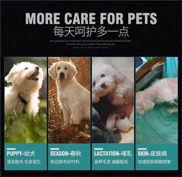 Ba chai Wei Shi Lecithin 500G Dog Seaweed Beauty Hair Powder Cream Guard Teddy Golden Hair Cat Blowing Powder Soft Phospholipid - Cat / Dog Health bổ sung sữa cho chó biếng ăn