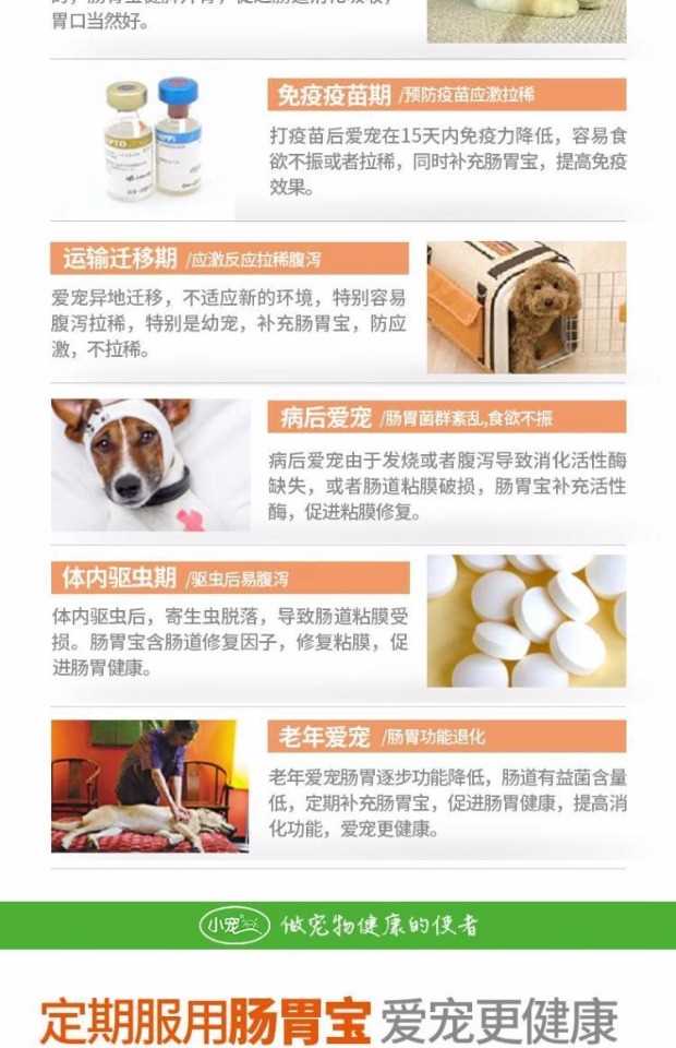 Thú cưng nhỏ dạ dày vật nuôi probiotic 10 gói chó mèo nôn thuốc điều hòa dạ dày chó tiêu chảy - Cat / Dog Health bổ sung sữa cho mèo con mất mẹ