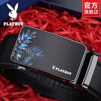 Стиль Z2428-0B [упаковка в подарочной коробке] популярная модель