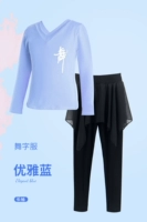 Элегантный лонгслив, шифоновые штаны, V-образный вырез