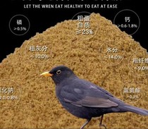 Uwinter Bird Grain Grain Granular Feed Mixed Bird Grain Special High Protein Mixed Feed Fabric Feed Brand New Recipe