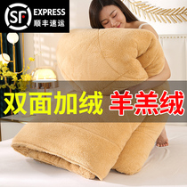 Thick cashmere quilt core blanket quilt quilt 1 5 warm dong bei 10 pounds three and a half pounds of double Winter