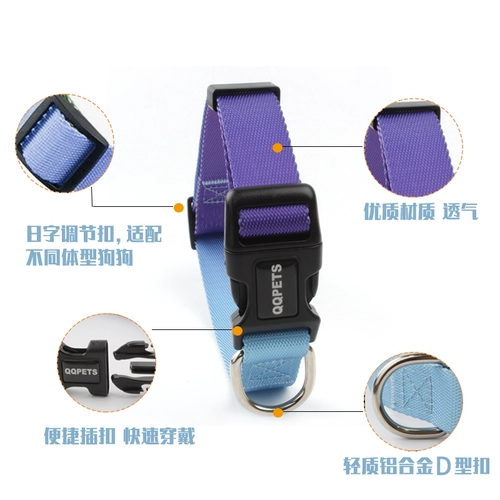 Большие собаки в сотрудничестве с собаками в воротниках собак могут отрегулировать круг шеи из тренировок, чтобы предотвратить поставки домашних животных