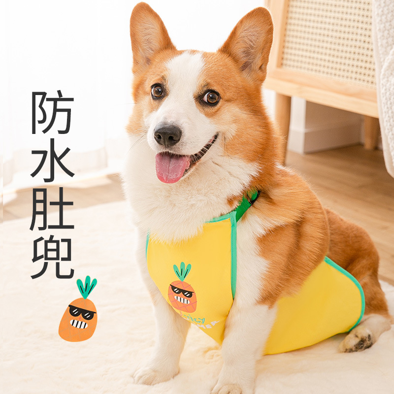 Lanboer Koji waterproof bellyband fruit print small dog pet four seasons universal clothes