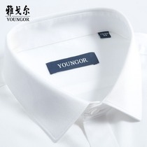 Youngor shirt mens long-sleeved business dress Young and middle-aged spring casual shirt white mens dp pure cotton free ironing