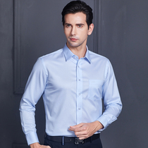 Youngor long-sleeved shirt Mens striped business gentleman free ironing shirt Young and middle-aged casual square collar mens shirt