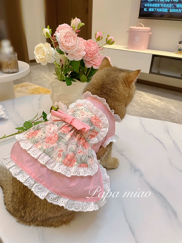 Наряд для горничной кружев