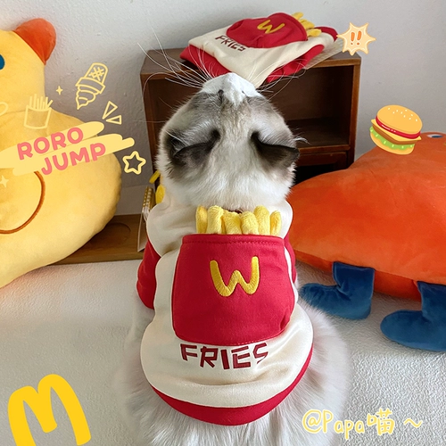 Домашние животные осенью и зимним толстым хлопчатобумажным карманом.