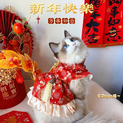 Осенне-зимний костюм с кистями для собак, костюм Тан, платье, кошка, двуногая новогодняя юбка, одежда для домашних животных