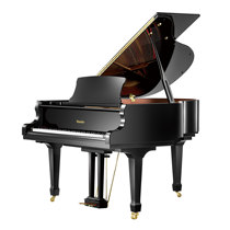 Pearl River Ritmiller RS150 RS160 RS173 RS183 RS212 RS280 Delta Piano