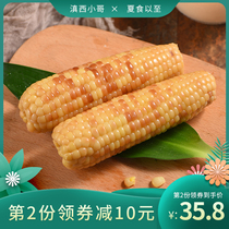 Yunnan West Brother Yunnan Xishuangbanna sweet glutinous corn breakfast Sweet glutinous corn cob bag grain vacuum packaging bag