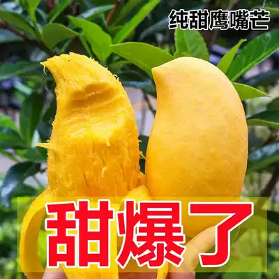 Yunnan Eagle mouth Mango 10kg packed whole box of Origin straight hair seasonal fresh fruit