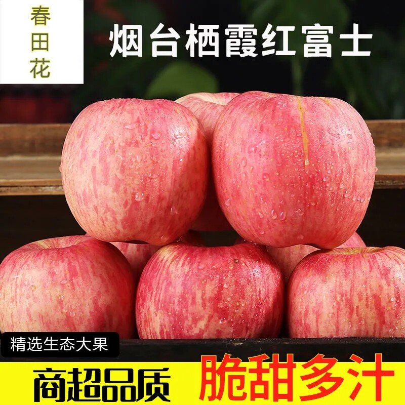 10 Jin Shandong Yantai Red Fuji Apple Fresh Fruit Red Fuji Apple