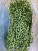Whole leaf South grass tender seedlings drying Timothy grass rabbit ChinChin Dutch pig tortoise Forage Feed 2kg gross weight