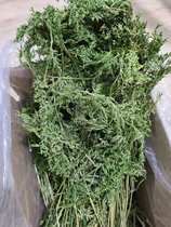 Dried carrot tassel rabbit ChinChin pig pasture appetizing digestion Qi Beauty Hair hay net weight 500g