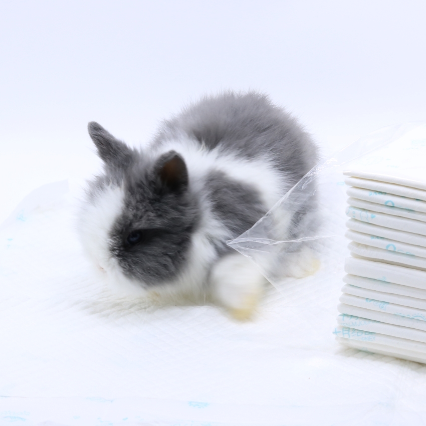 Rabbit diaper, Guinea pig, Dutch pig, Hamster, Dog diaper, Pet deodorant diaper, wet cleaning and hygiene products, 20 pieces