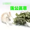 Dried Dandelion hay Value recommendation Pet rabbit Dutch pig Guinea pig Chinchilla supplies Forage snacks 200g