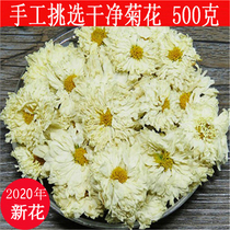 Chrysanthemum tea batch bulk 500g Bo chrysanthemum tea new goods heat-clearing non-special grade fetal chrysanthemum Wang Gong chrysanthemum Hang white chrysanthemum bag