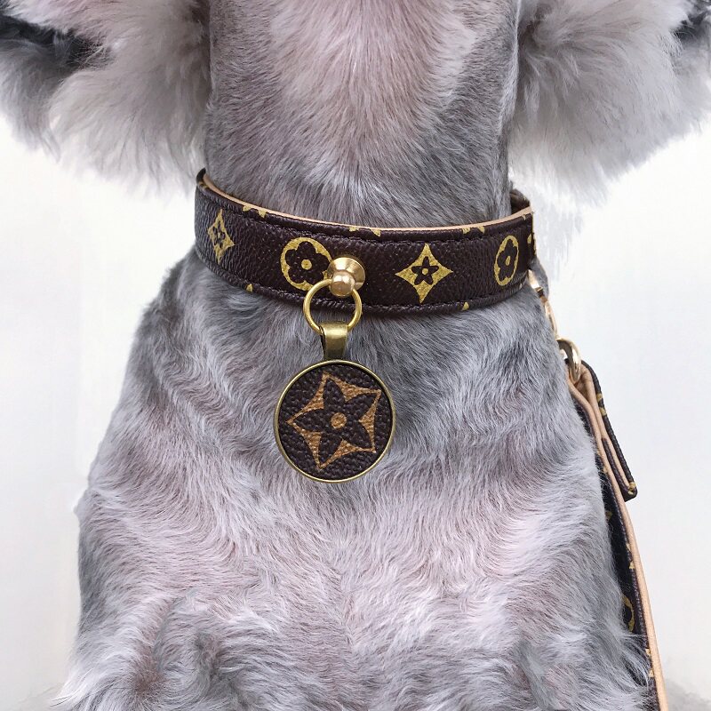 Pet Tide Card Neckline Cortical Traction Rope Small And Medium Dog Teddy Dogfight Pooch Dog Hanging Dog Neck Ring Cat Chain Dog Chain