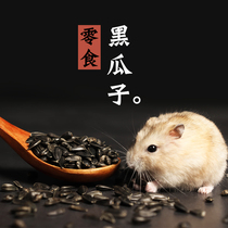 zoog hamster snacks oil sunflower black melon seeds Golden Bear squirrel ChinChin staple food Parrot bird food supplies 100g