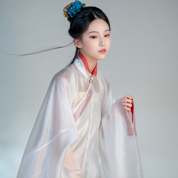 Nan Ya Ji (Qi Yan) Ming Original Hanfu Women's Evening Ming Feng Vertical Collar Gown with Dark Pattern