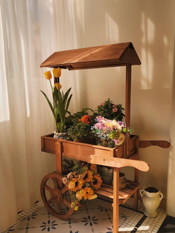 Supermarket Flower Shop Solid Wood Blackboard Signboard, Miscellaneous Goods Shelf, Mini Flower Cart, Storage Rack, Window Display Cabinet, Cart Decoration