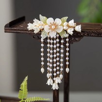 Ancient style pearl tassel hairpin half-tied at the back of the head Hanfu cheongsam accessories super fairy Internet celebrity pan-head spring clip