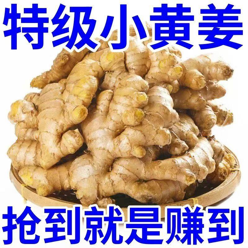 特价抢购云南小黄姜5斤生姜批发，嫩姜老姜仔姜月子姜沙姜大揭秘！-生姜-淘宝百科网