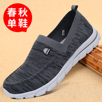 Spring and Autumn old Beijing cloth shoes nan dan xie anti-slip soft breathable dad mens leisure middle-aged and elderly people kingpo xie