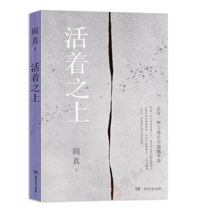 活着之上:阎真新作,直面生活潜规则,深刻揭露钱与权!📚 -职场小说-淘宝百科网