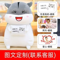 (Индивидуальные картинки и текст) Удерживая квадратную подушку (смех, хомяк-ты мой шаблон)