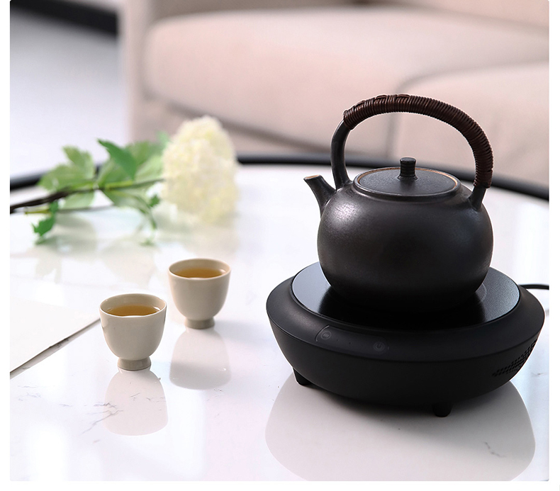 True sheng net electricity TaoLu tea stove light waves in the home small mini electric furnace iron pot of silver pot of glass pot of tea