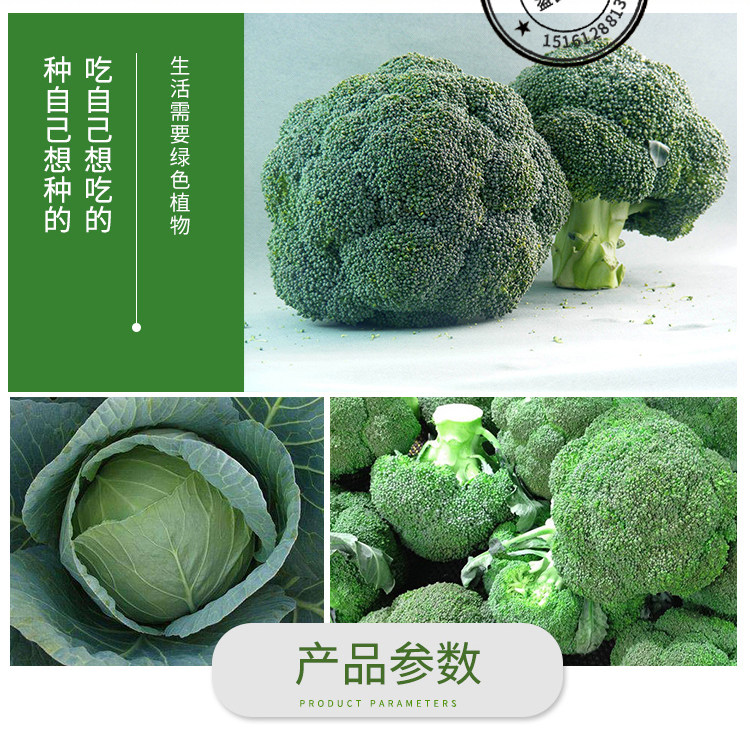 蔬菜种孑绿霸王西兰花种子四季播花青花椰菜种子甘蓝包菜花菜种籽 菜花 有机蔬菜 育苗栽培 农资 沧州益农社运营服务平台