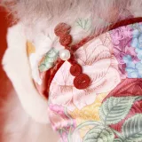 Осенняя и зимняя собачья одежда Новая годовая жилеты, Шерри Тедди Бикксис Малзис Бел Мей Ину