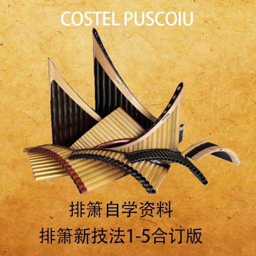 Long-time flute flute flute self-study information flute New Technology 1-5 complete set of revised version 208p not Flute