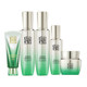 Pechoin Revitalizing Series Boxless Essence Water Cream Amino Acid Cleansing, Moisturizing, Firming and Lightening Lines