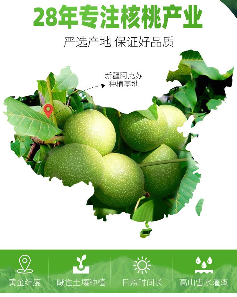 马一芳 蜂蜜芝麻琥珀核桃仁400g 图2