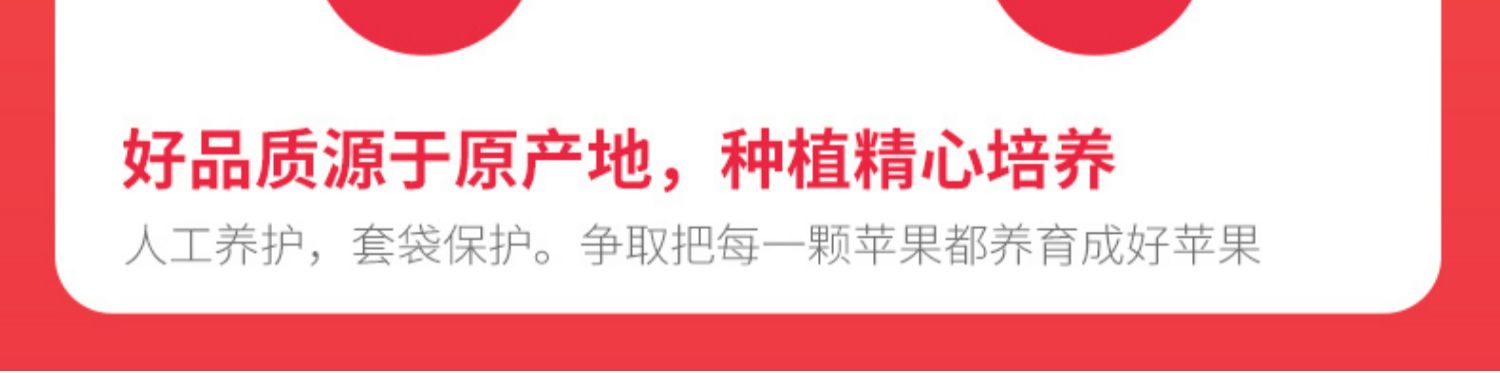 惠鲜达正宗洛川红富士苹果整箱5斤