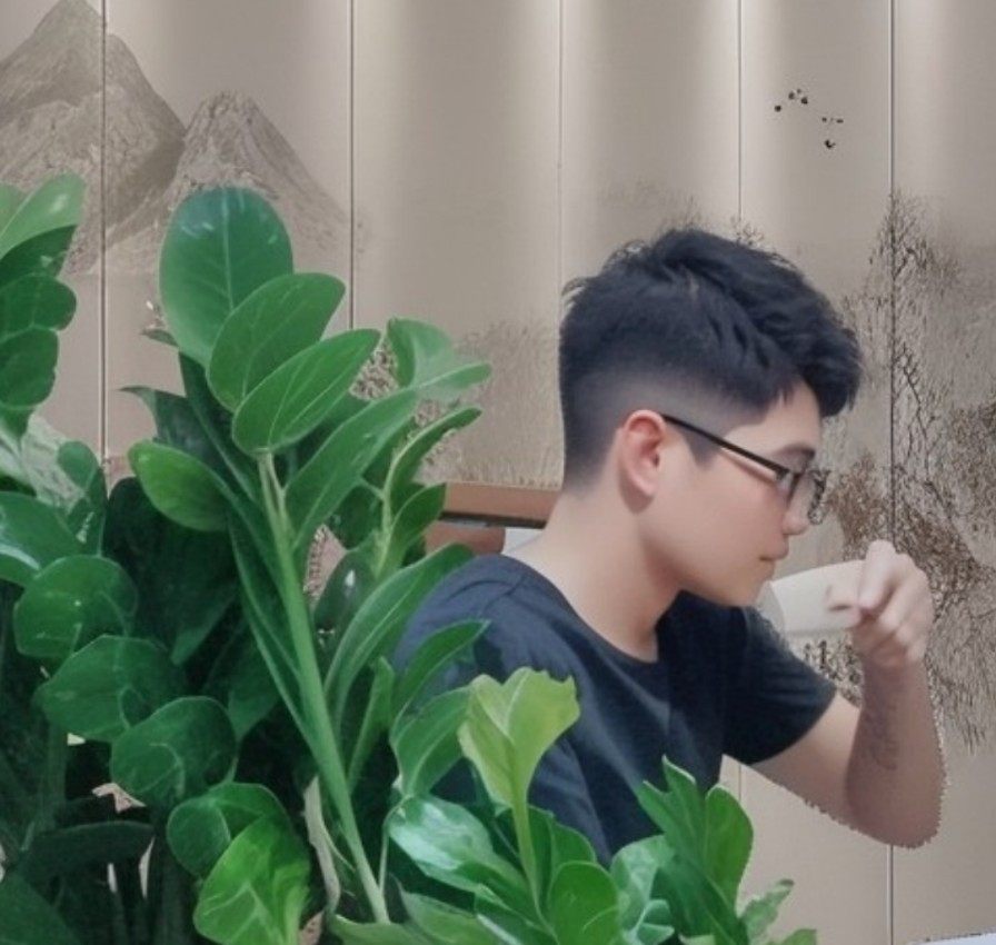 普英洲绿植