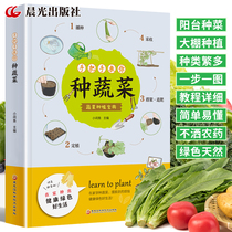 Hand-in-hand to teach you how to grow vegetables vegetable cultivation techniques vegetable cultivation techniques books practical manuals vegetable planting techniques indoor and outdoor private vegetable garden vegetable planting