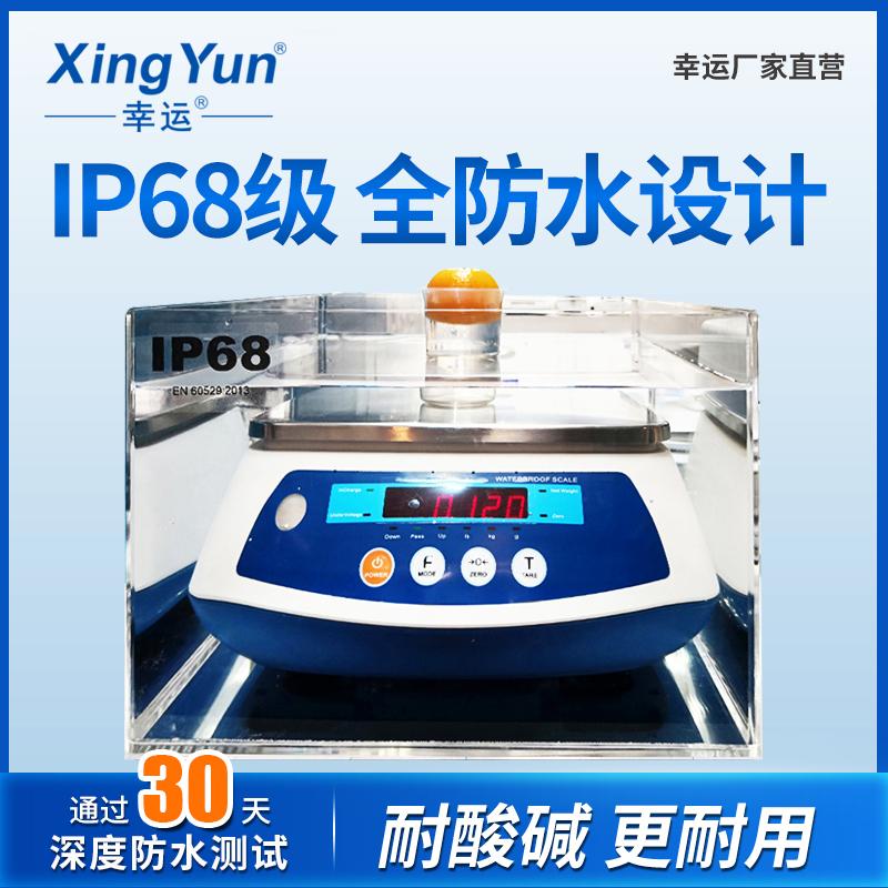 IP68级高精度全防水电子秤0.1g车间海鲜水产秤食品厂 防腐蚀