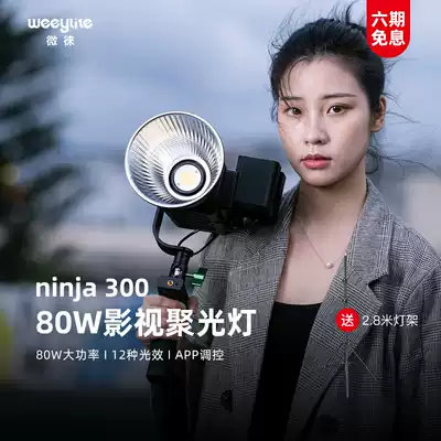 Micro-ninja300 fill light LED photography light video photo shooting light handheld live fill light