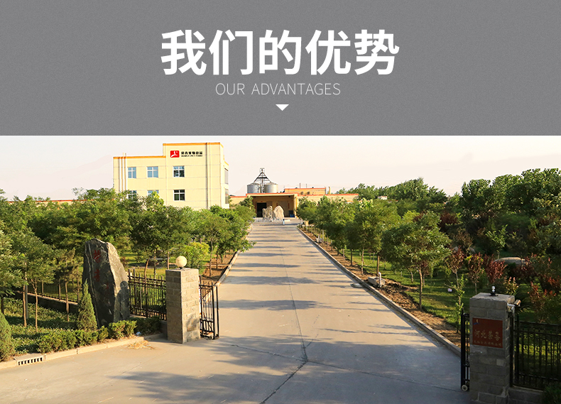 Cơm, thức ăn cho chó, 10kg, thức ăn, gia đình điện tử, thịt bò, phô mai, Jin Maode, Chồng, Labrador, chó con, thức ăn, 20 kg - Chó Staples hạt chó