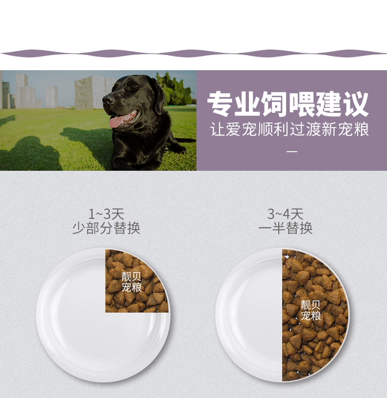 Thức ăn cho chó Mussels 10kg thức ăn gia đình e Jin Mao Demu Hu Shiqi Labrador thịt bò hương vị thức ăn cho chó trưởng thành 20 kg - Chó Staples cám cho chó