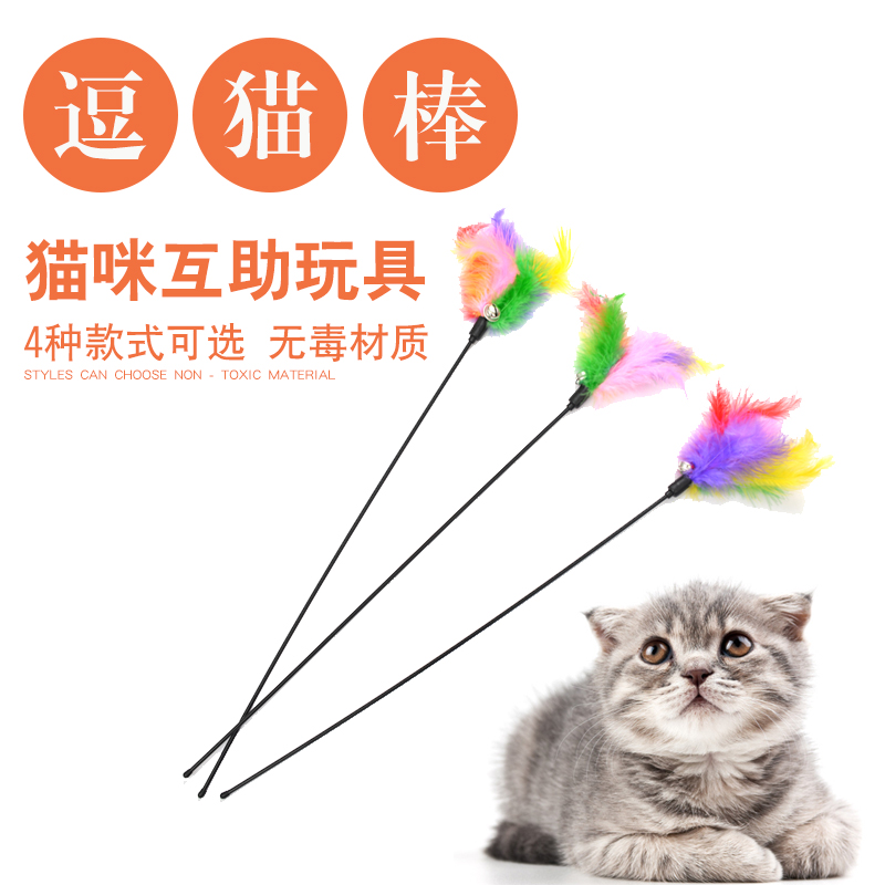 Kitty teasing cat's kitty toy feather stick mouse toy teasing the cat's ball and teasing the cat sticks