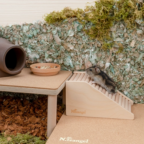 Niteangel Aite duo функциональный Calace Hamstes Basin Multi -Live Platform поднимается