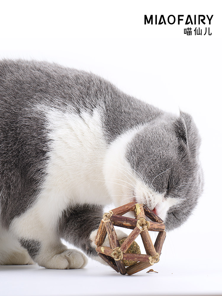 Cat toys Exquisite ball wood polygonum stick Catnip cat molar toys Self-high gnawing lollipop ball toys