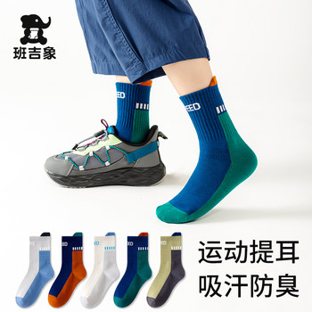 Boys' Socks, Pure Cotton, Thickened for Autumn and Winter, Odor-Resistant, Sweat-Absorbent, for Children and Teenagers, Seamless Mid-Calf Sports Socks