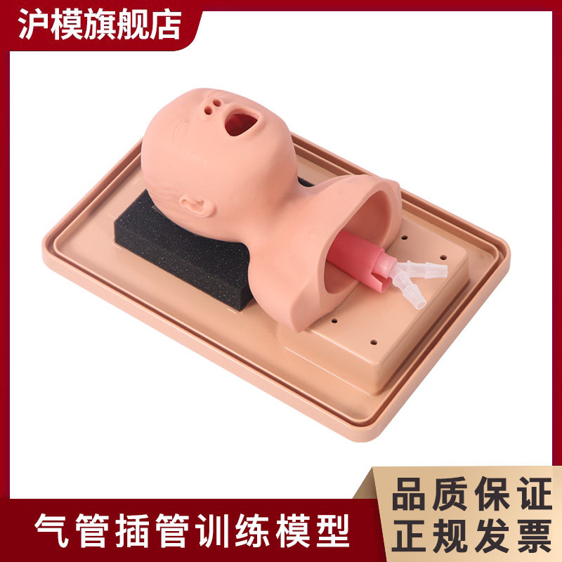 沪模 新生儿气管插管模拟人 成年大人气管插管模型 儿童气气道管理模型HM/J3 0培训训练假人