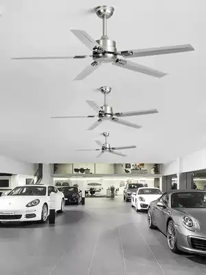 Five-leaf large wind stainless steel ceiling fan Household living and dining room industrial retro light-free simple commercial silent electric fan